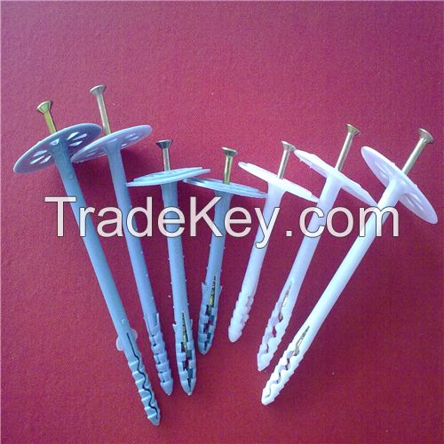 Heat Preservation Nail/Insulation Fixing Nail