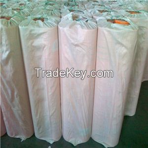 China supplier 160g glass fiber mesh/fiberglass mesh