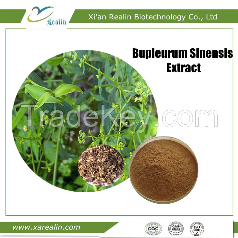 Plant Solvent Extraction Bupleurum Falcatum Extract Powder Bupleurum Extract Chinese Thorowax Root Extract