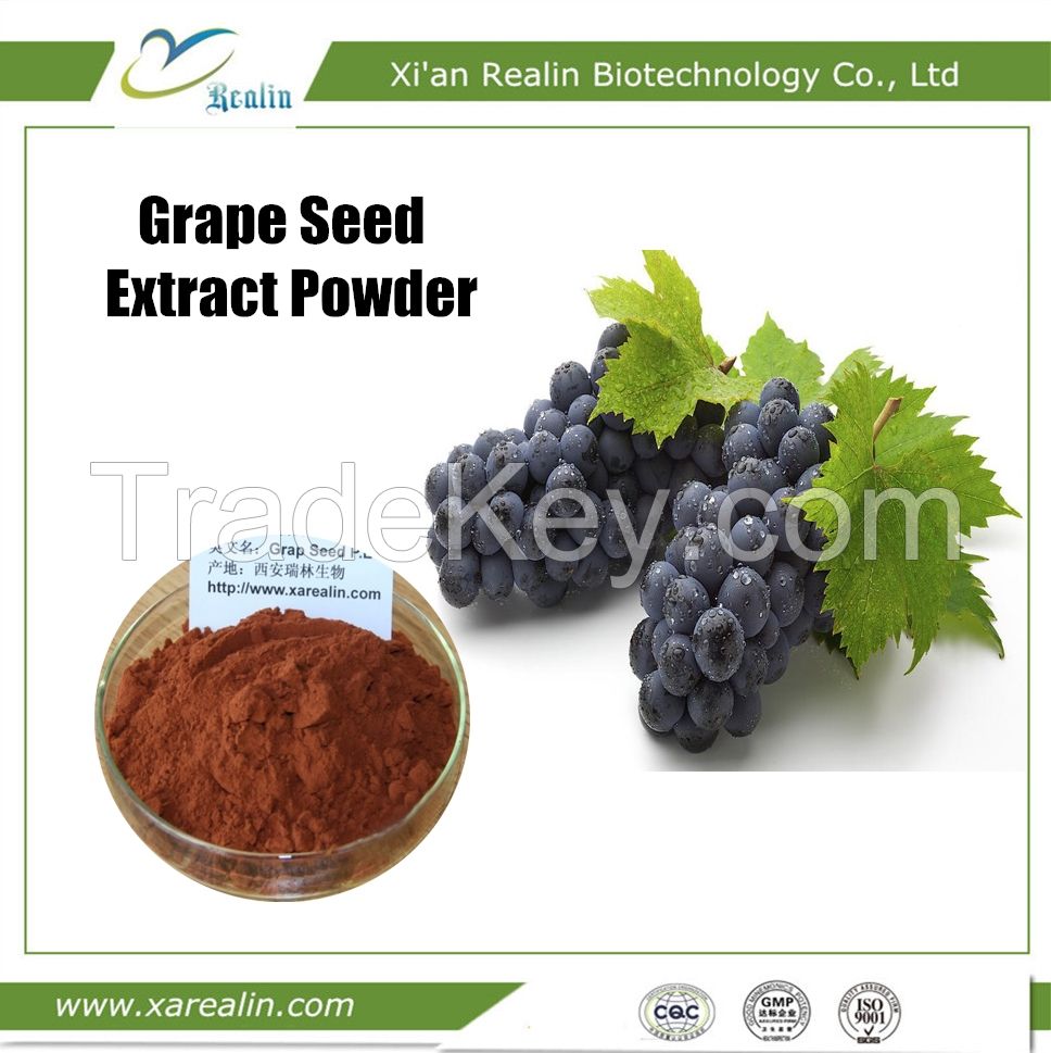 Antioxidant Cosmetic Indregients Food Grade Grape Seed Extract Powder Procyanidins OPC 