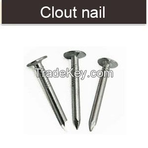 Large flat head Clout roofing nails