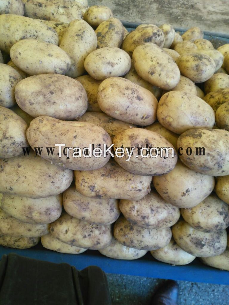 Organic Patato Yellov