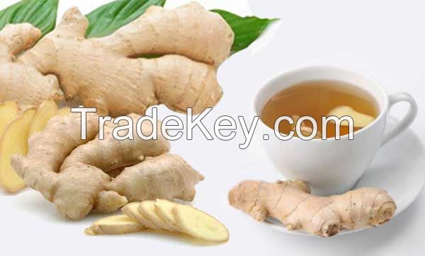 Fresh and Dried Ginger