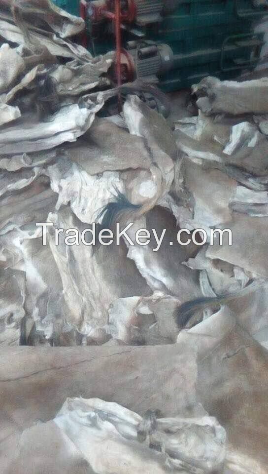 100% Wet and Salted Donkey Hides, Cow Hides, Sheep and Goat Skin, Sea Horse, Stingray Skin, Buffalo Skin,