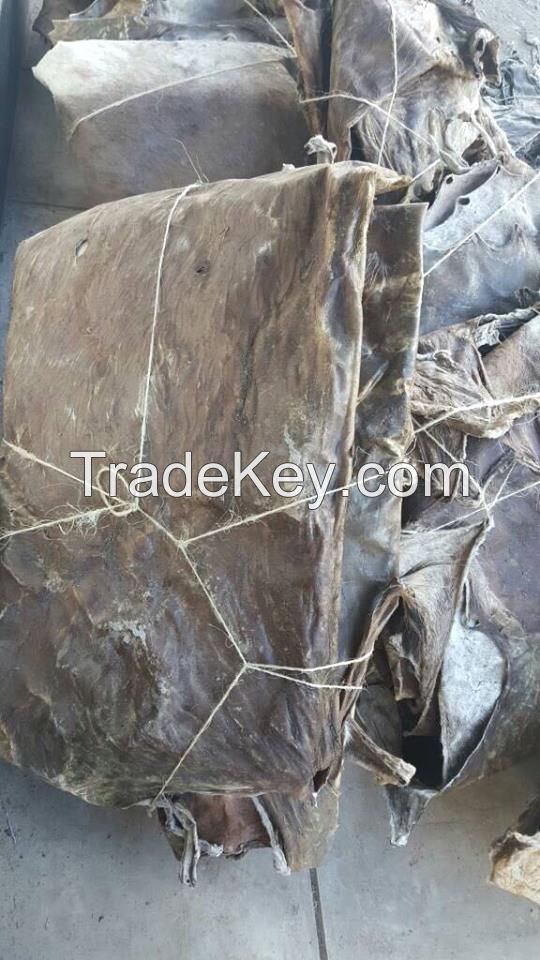 Dry and Wet Salted Donkey / Goat Skin /Cow Hides / Sheep Skin Best Price