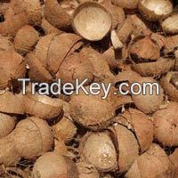 Coconut Shells