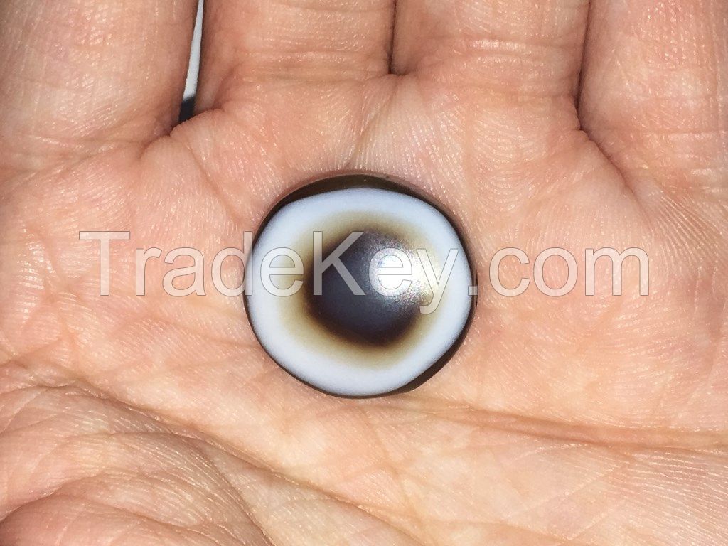 Wholesale Jewelry Luk Mik Tabular Beads Goat's Eye