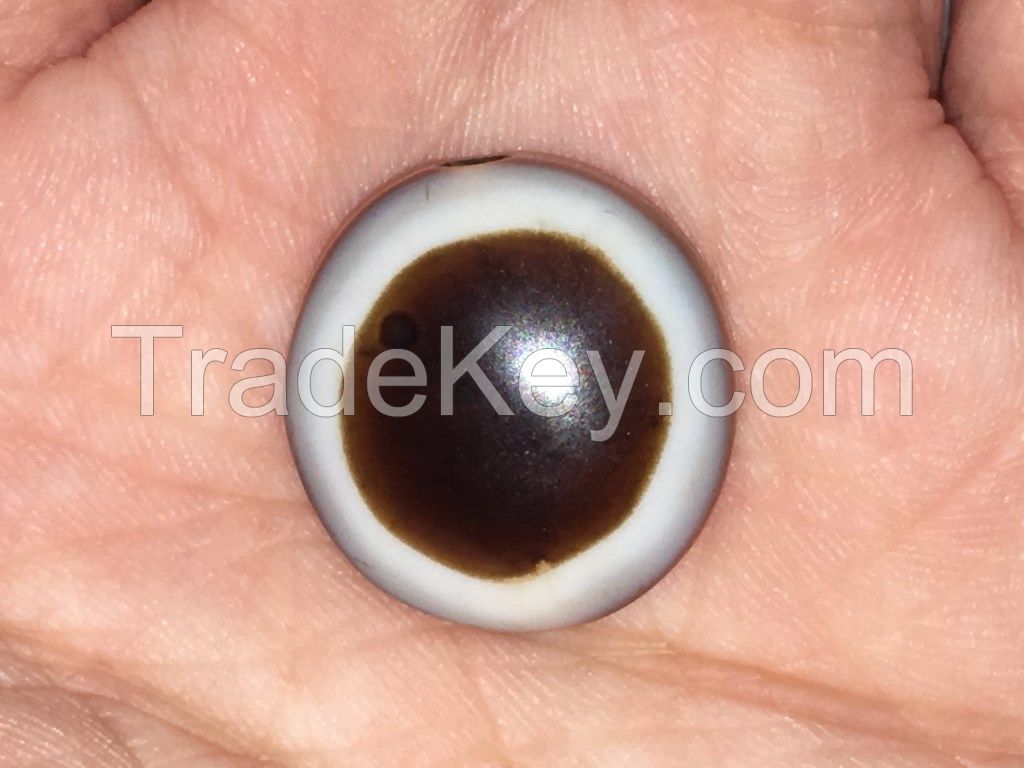 Wholesale Jewelry Luk Mik Tabular Beads Goat's Eye