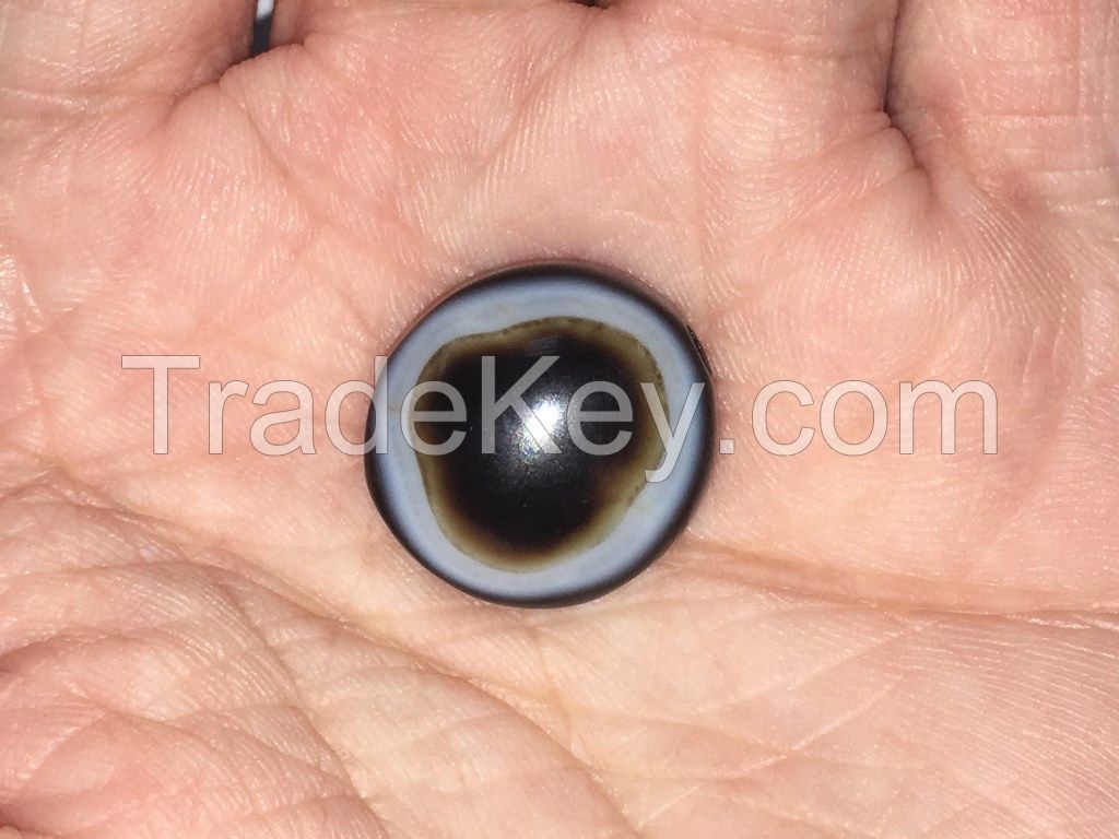 Wholesale Jewelry Luk Mik Tabular Beads Goat's Eye