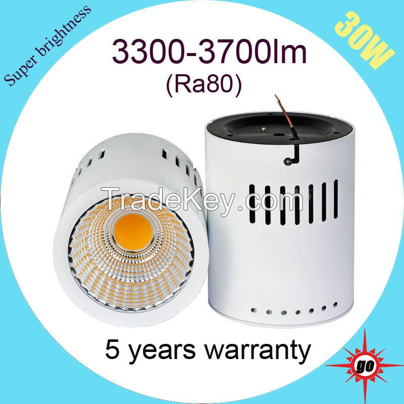 Surface mounted LED downlight