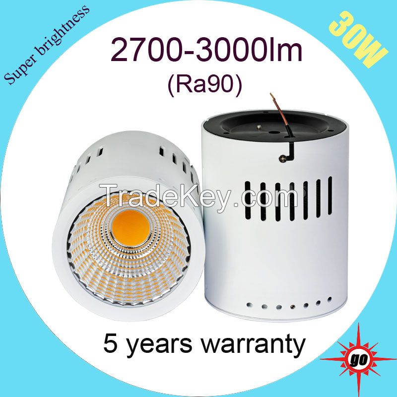 Surface mounted LED downlight