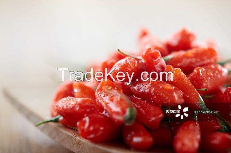 2016 New Crop Goji Berry From Ningxia