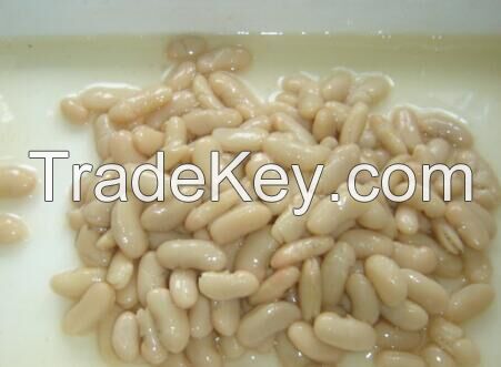 good quality canned white kidney bean in tin