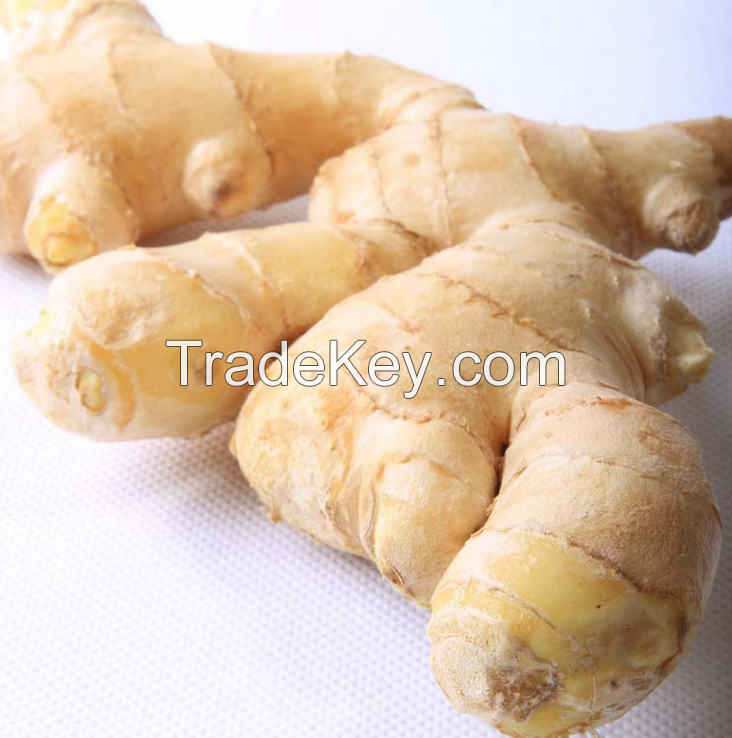 2016 new air dried  ginger at cheap price