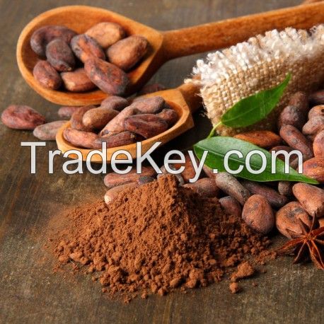 Organic Cacao Powder - Impact Foods