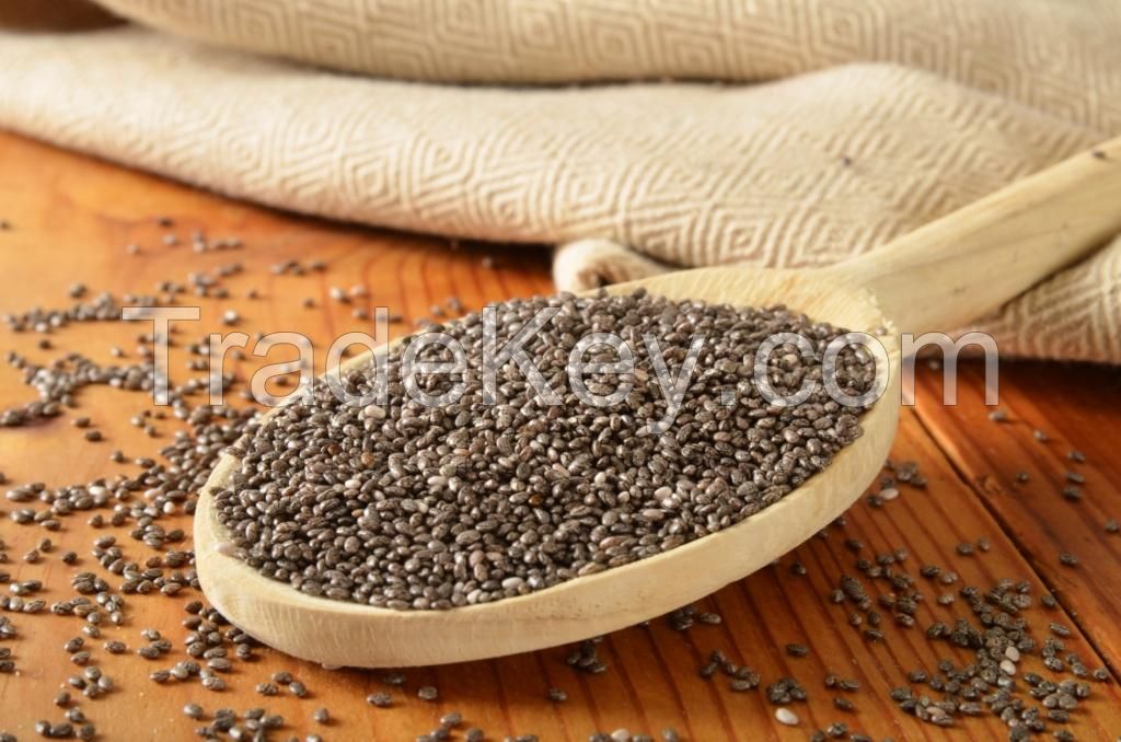 Organic Chia Seeds Wholesale