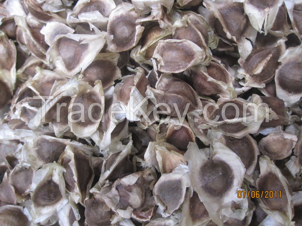 Moringa Seed