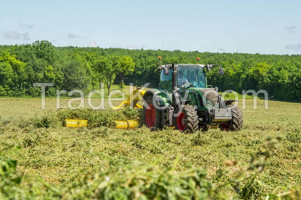 DEHYDRATED ALFALFA HAY VERY GREEN COLOR