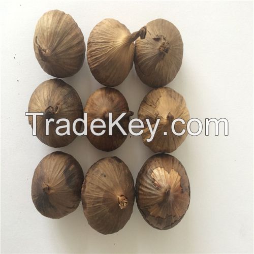 Wholesale Black Garlic