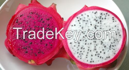 FRESH DRAGON FRUIT FROM VIETNAM _ CHEAP PRICE