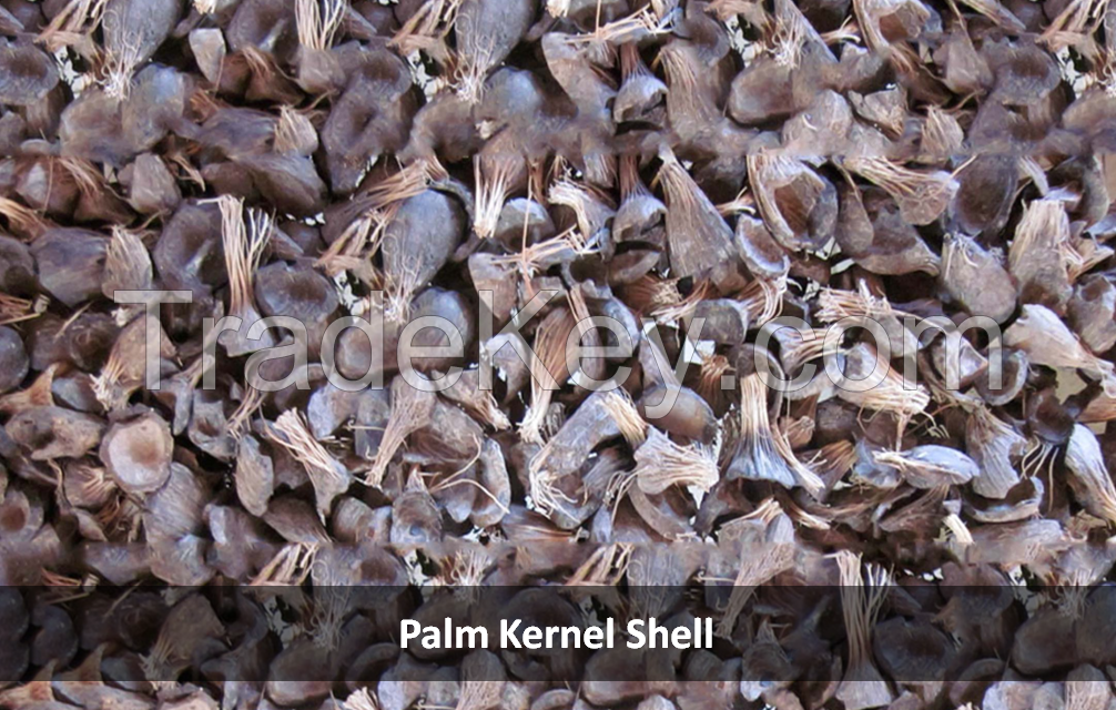 Low Level Ash Palm Kernel Shells PKS