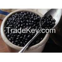 Black Kidney Beans 