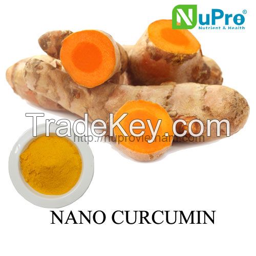 nano curcumin extracts