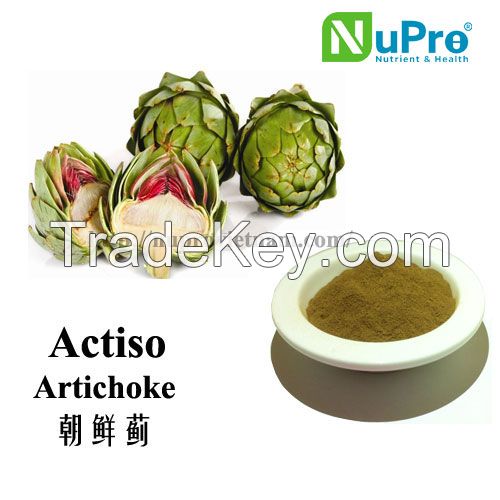 Artichoke herbal extracts powder