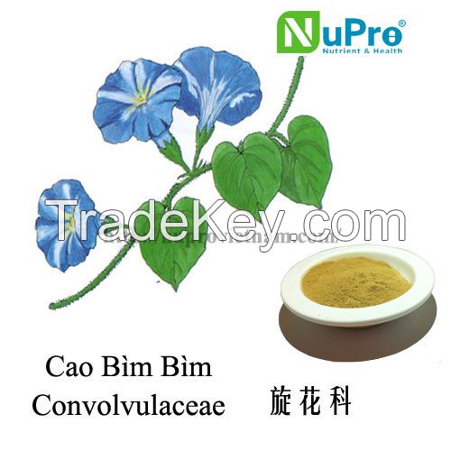 convolvulus extracts