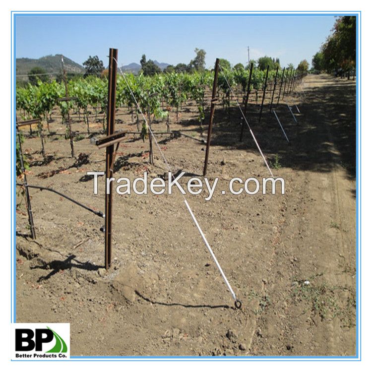 galvanized steel U shape Posts used in vineyard