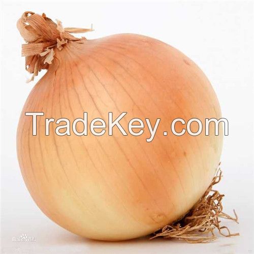 Hot sell Yellow Onions