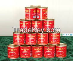 tomato paste