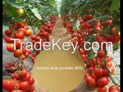 enzymolysis amino acid powder 80%