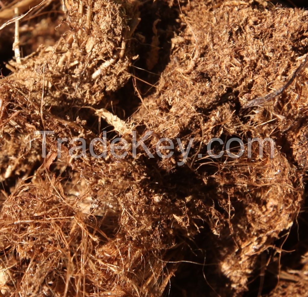 Natural Peat Moss