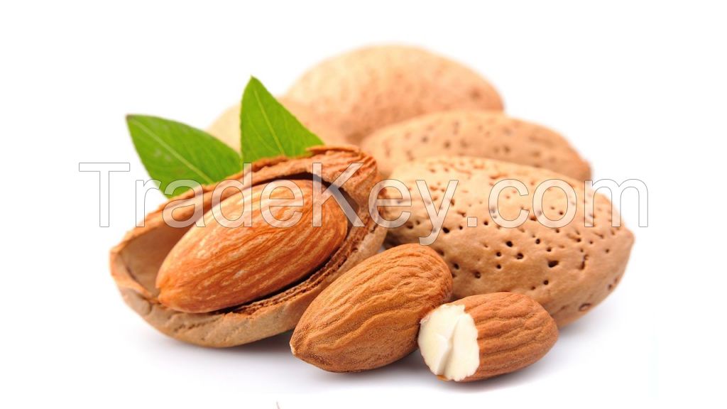 Delicious Almonds And Dried Fruit For Alimentary Use