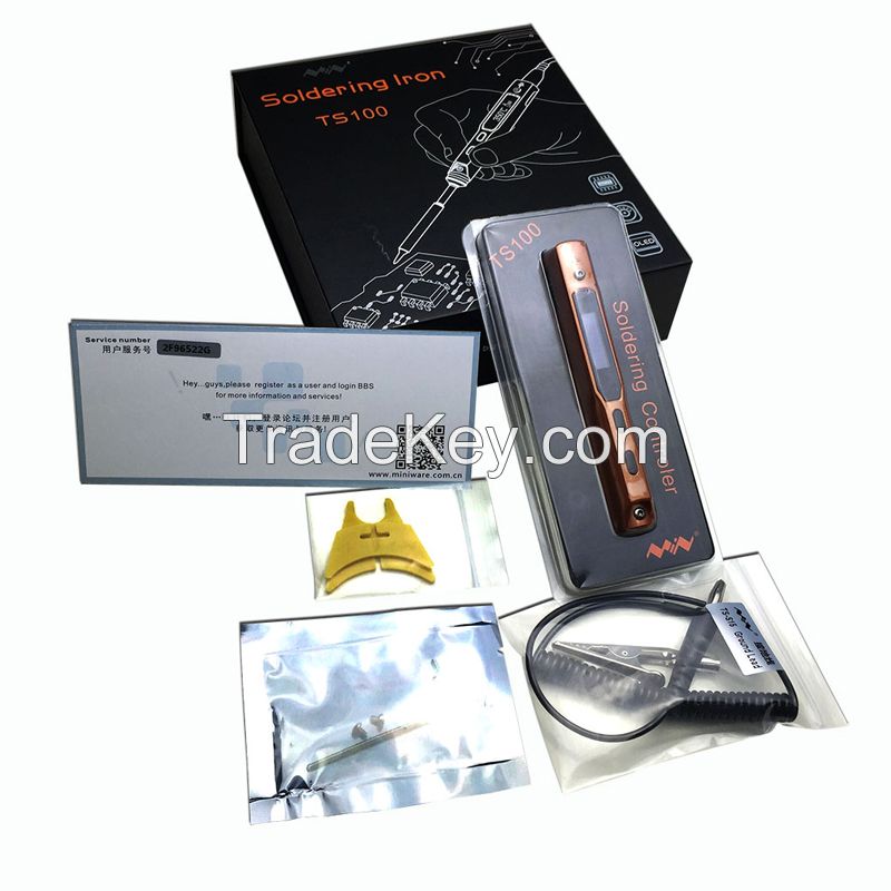 Smart Mini Soldering Iron TS100 (two tips luxe package)