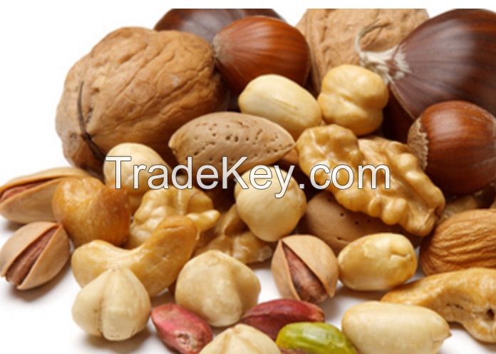 Kernel and Nut Solutions