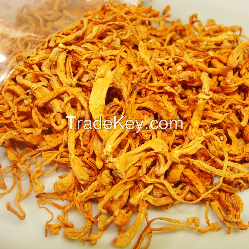 Pure Cordyceps - Happy and healthy every day!