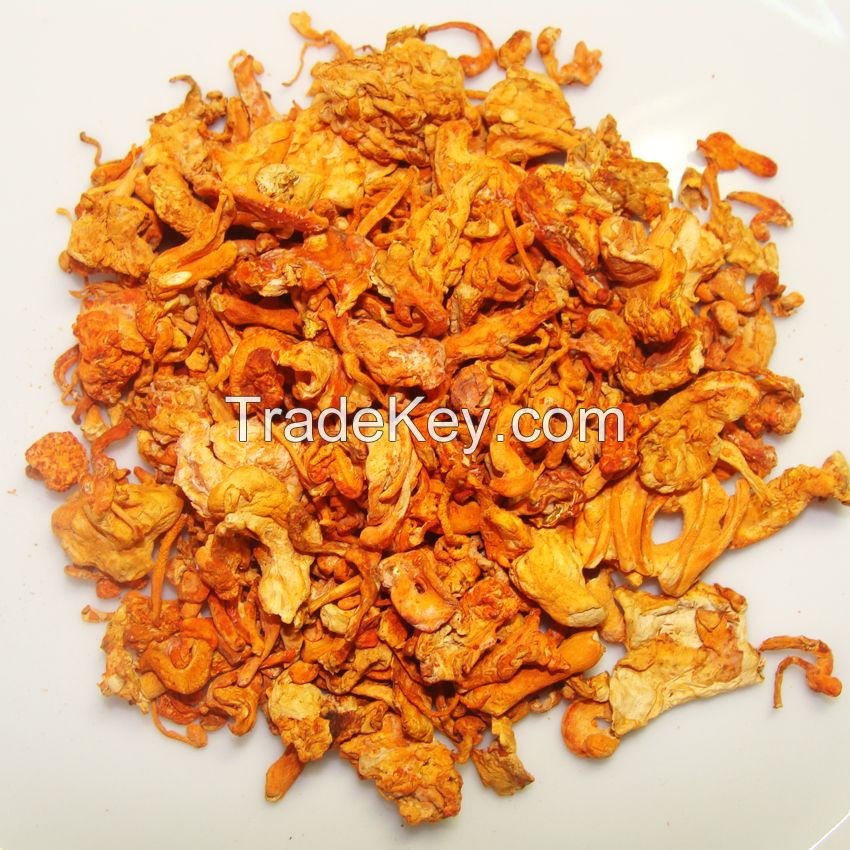 Pure Cordyceps - Happy and healthy every day!