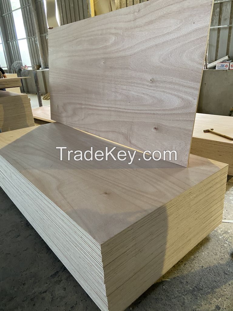 18mm Bintangor commercial plywood cheap plywood