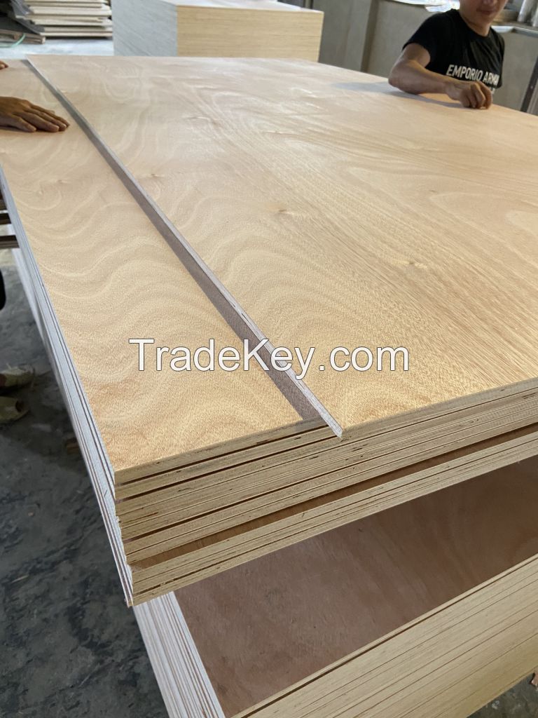 18mm Bintangor commercial plywood cheap plywood