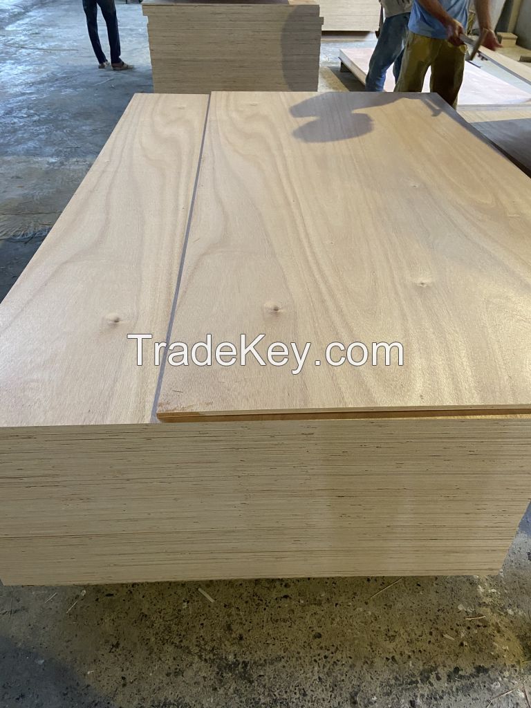 18mm Bintangor commercial plywood cheap plywood