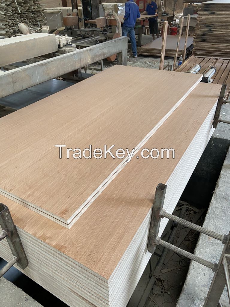 28mm Container Plywood for Container Flooring Using