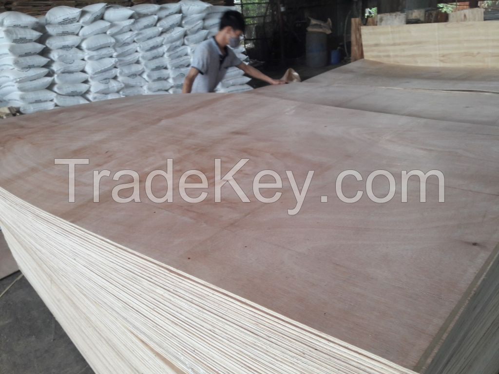 Plywood for Packing 2.5mmmm AB Grade from from Vietnam to Malaysia