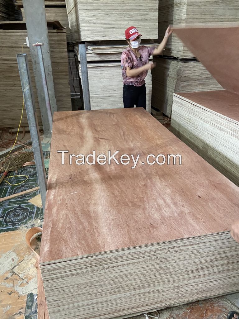 Bintangor face Commercial plywood for making sofa