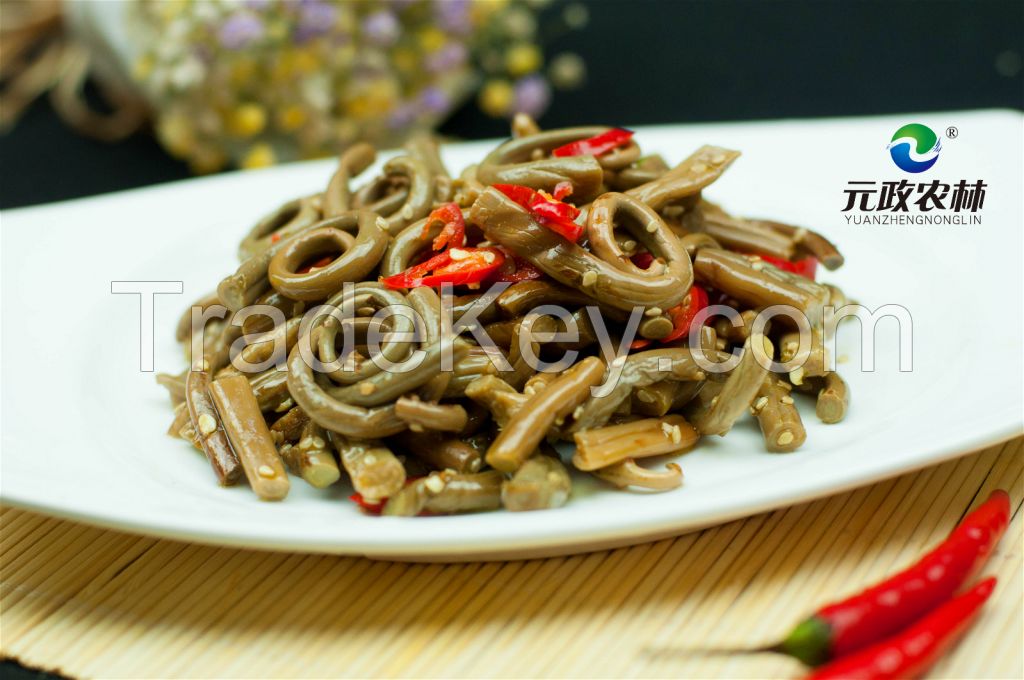 Edible Organic Osmunda Fern