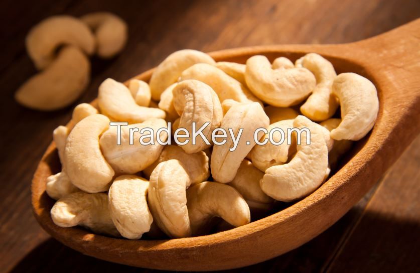 Cashew Nut