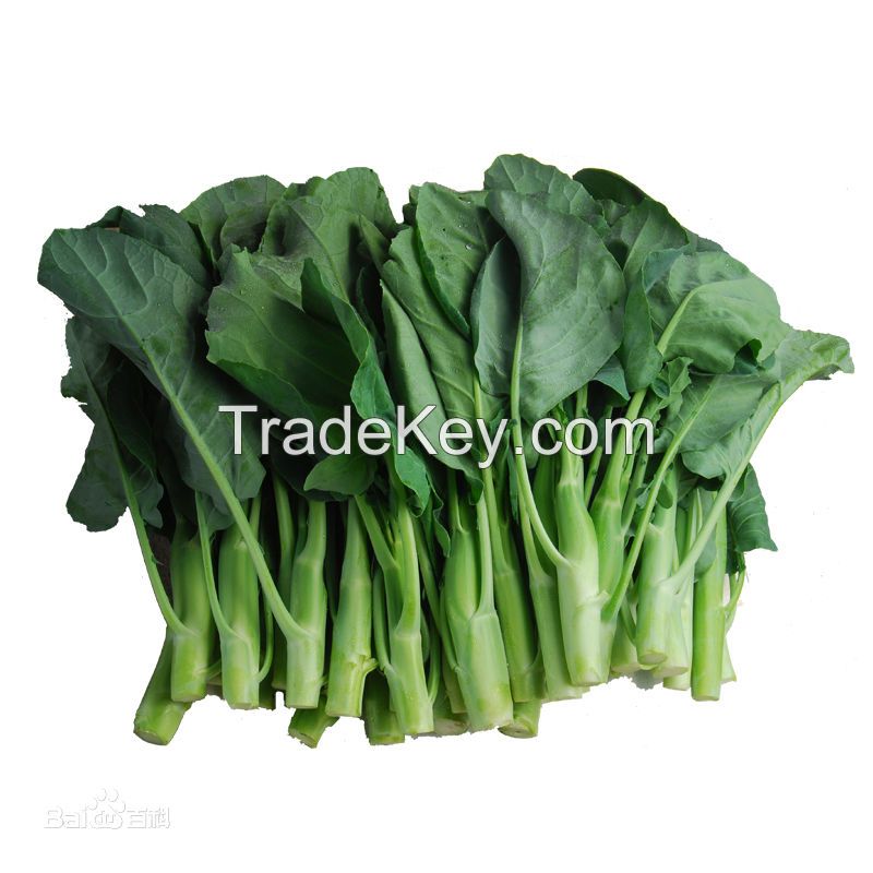 Hot Sale Natural Fresh Kale