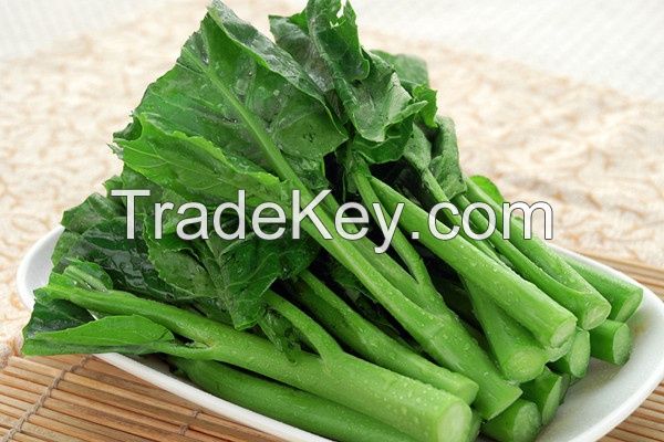 Wholesale Natural Fresh Kale