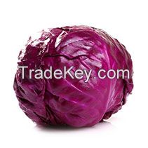 Wholesale Natural Fresh Purple Cabbage